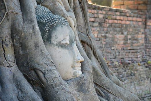 Buddha Head Surrounded by Roots in Ayutthaya