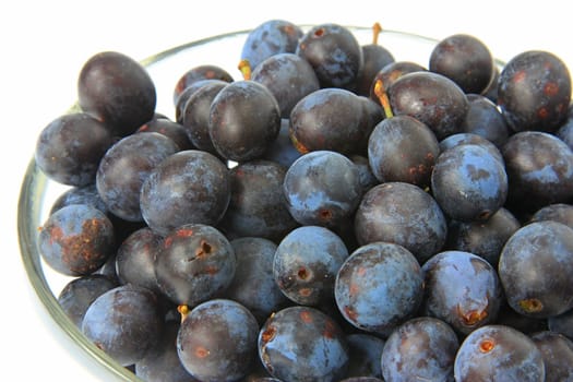 ripe sloes - fruits of blackthorn (Prunus spinosa) in a glass bowl against a white background