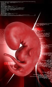 Digital illustration of Embryo in colour background