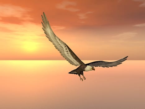 Computer-generated 3D illustration with a white-tailed eagle at a sunset