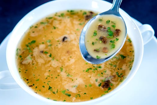 Forest Mushroom Cream Soup