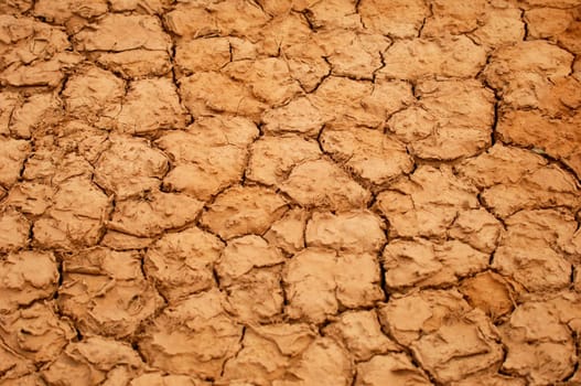 A dry water hole showing cracked mud