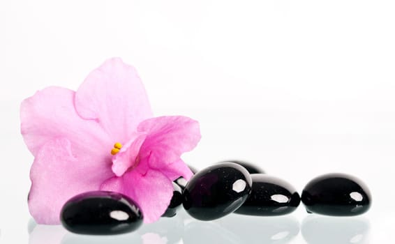 Black spa stones and pink flower on white background