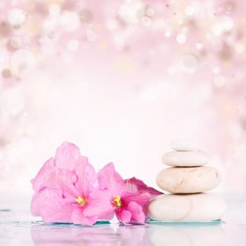 Spa stones and pink flower on abstract pink background