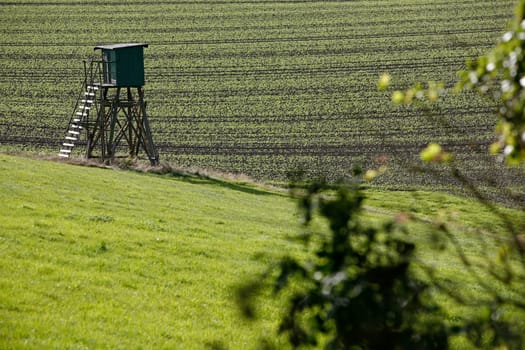 High seat at the edge of the field