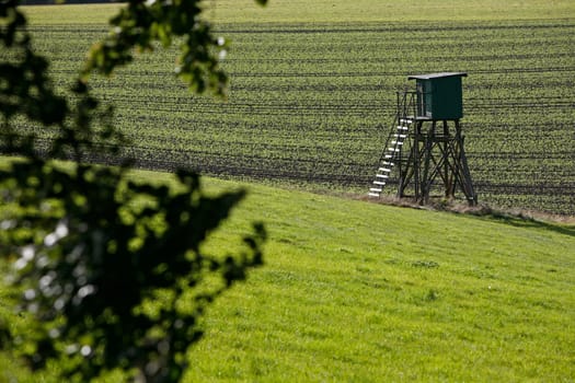 High seat at the edge of the field