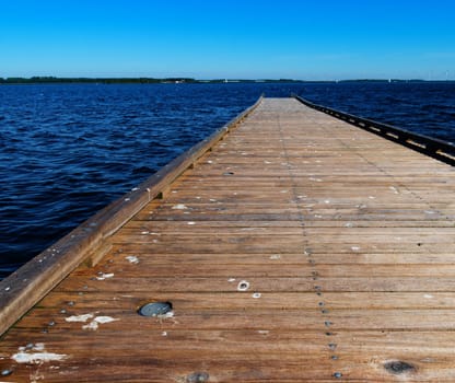 wooden jetty contaminated with birds excreta