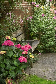 Country-style garden with bench and lots of flowers in summer