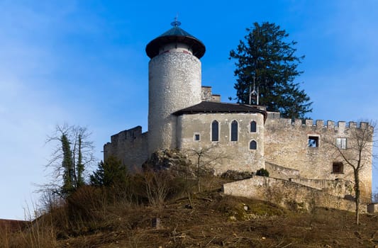 Dorneck ruins