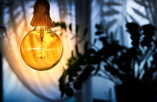 a device for giving light, either one consisting of an electric bulb together with its holder and shade or cover. Warm electric incandescent lamp close-up in a dark room with a plant.