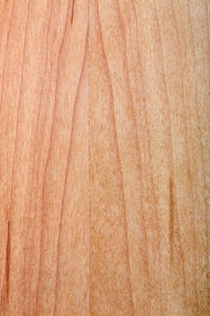 texture of natural wood, laminated wood varnished maple
