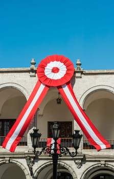 peruvian rosette in the peruvian Andes at Arequipa Peru