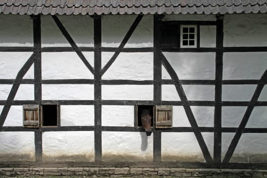Horse peeking out of a window in a half-timbered house
