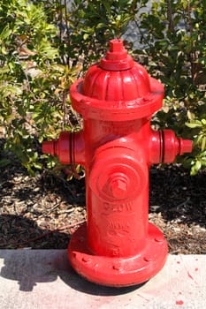 FORT LAUDERDALE, FLORIDA - MARCH 3, 2013: Close-up of a red painted fire hydrant at the edge of a city sidewalk in front of some hedges on a sunny day in Florida.
