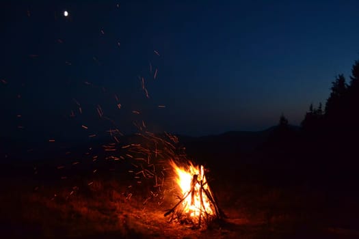 stick, tree, bonfire, night, orange, grass, campfire, light