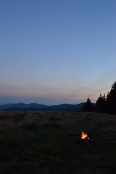 stick, tree, bonfire, night, orange, grass, campfire, light
