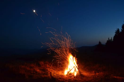 stick, tree, bonfire, night, orange, grass, campfire, light