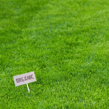 Lush green grass background wit an Organic sign facing the camera in the bottom left corner conceptual of the vitality and health of spring without chemicals