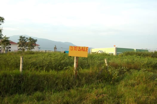 land for sale