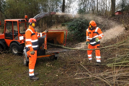 Shredding wood