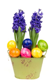 Blooming blue hyacinths with Easter eggs
