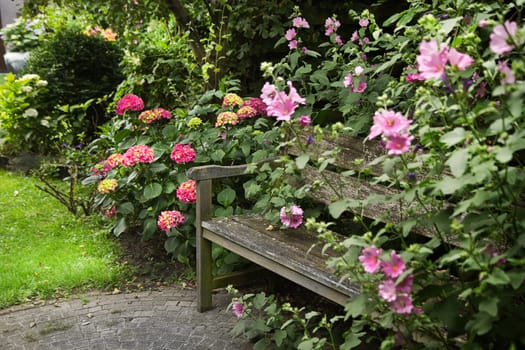Country-style garden with bench and lots of flowers in summer