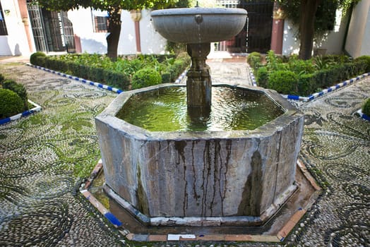 Typical Andalusian courtyard with plants and a fountain inside, Cordoba, Spain