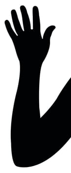 lady hand silhouette vector