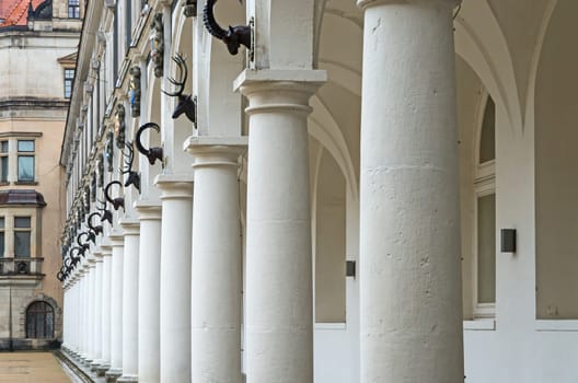 Cloister decorated with heads of deer, ibex and chamois in the center of Dresden