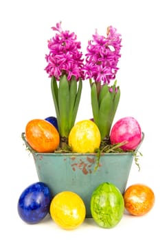 Blooming pink hyacinths with Easter eggs