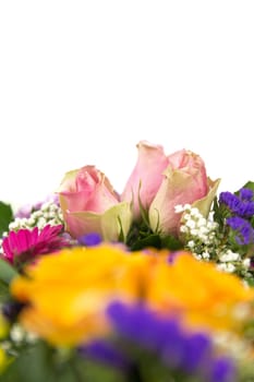 Two bouquets of roses,gerberas,statizes,gypsophila and laurel