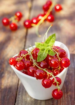 Ceramic bowl or punnet of fresh redcurrants topped with mint leaves for a healthy natural snack full of antioxidants and vitamins