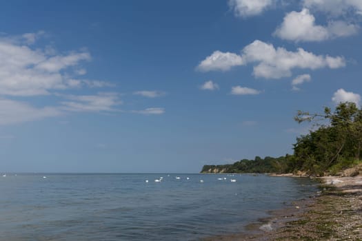 Baltic Sea coast near Kluetz