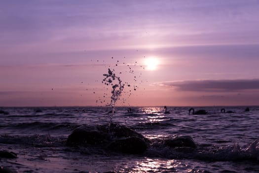 Sunset at the Baltic Sea near Wismar orchid