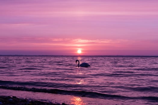 Sunset at the Baltic Sea near Wismar orchid