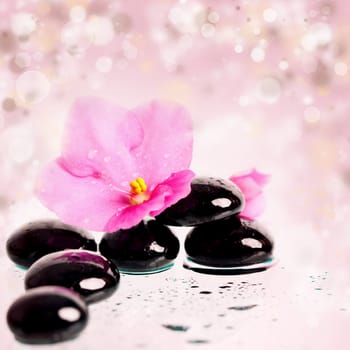 Black spa stones and pink flower on colorful spring background