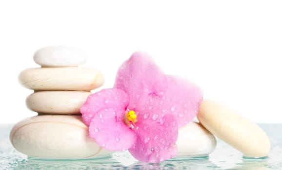 Spa stones and pink flower on white background