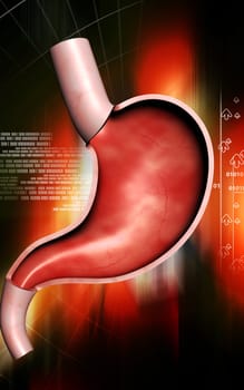 Digital illustration of stomach in colour background