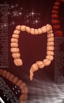 Digital illustration of Intestine in colour background