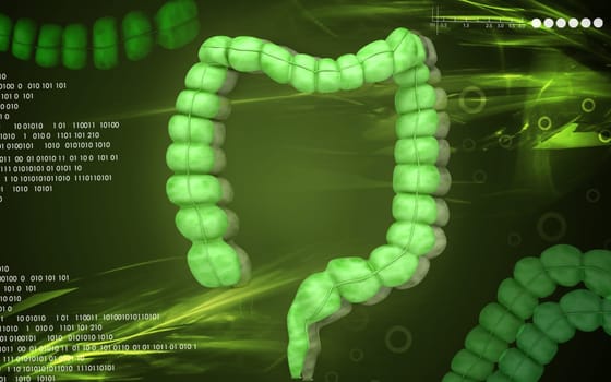 Digital illustration of Intestine in colour background
