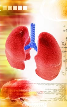 Digital illustration of human lungs in colour background