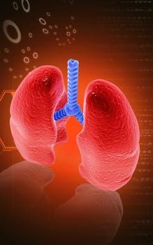 Digital illustration of human lungs in colour background
