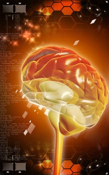 Digital illustration of brain in colour background