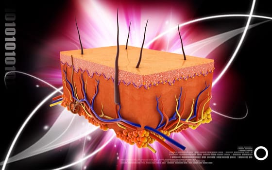 Digital illustration of Skin in colour background
