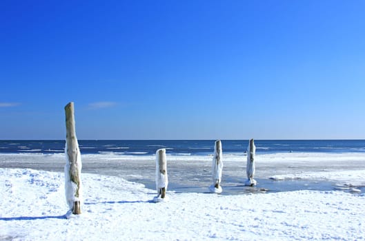Winter on the Baltic Sea,near Prerow,Vorpommersche Boddenlandschaft National Park,Darss,Mecklenburg-Vorpommern,Germany