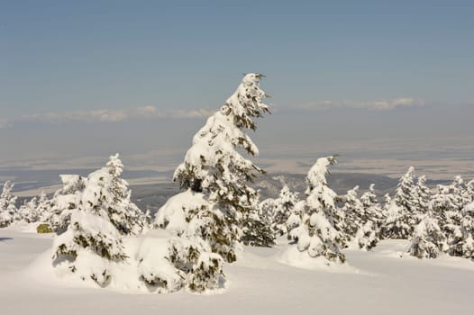 Brocken im Schnee und Eis,Winter,Harz.Misty landscape in Winter Brocken Harz Germany.