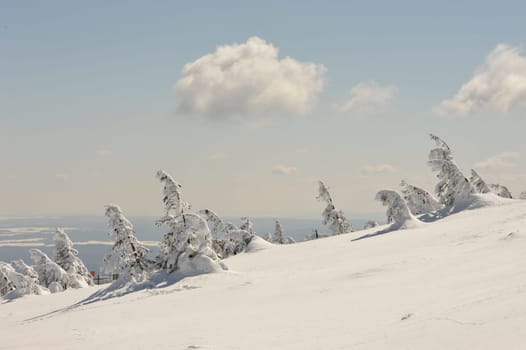 Brocken im Schnee und Eis, Winter,Harz.Misty landscape in Winter Brocken Harz Germany.