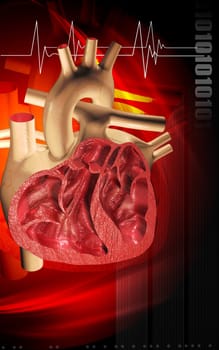 Digital illustration of heart in colour background
