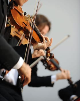 violinist at the concert