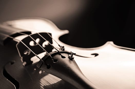 close up shot of a violin, shallow deep of field